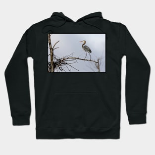 Heavenly Heron Hoodie